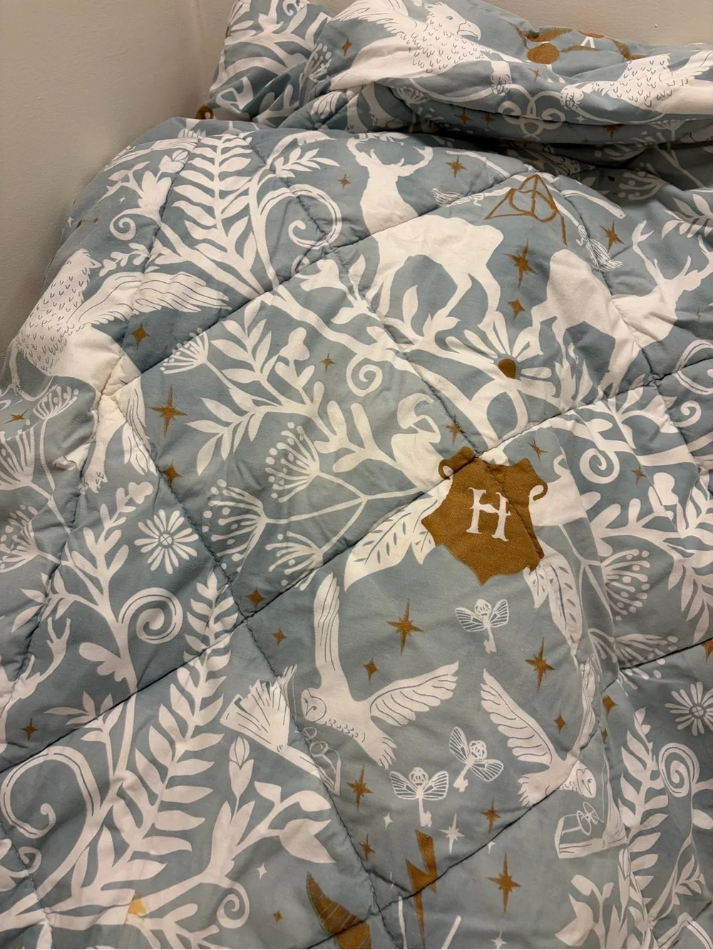 Pottery Barn Teen Harry Potter Magical Damask Twin Comforter
